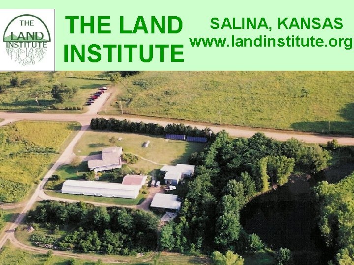 THE LAND SALINA, KANSAS www. landinstitute. org INSTITUTE 