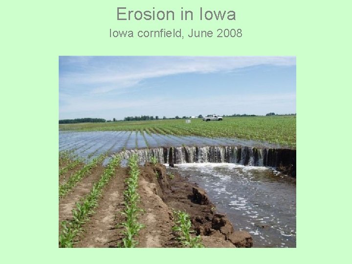 Erosion in Iowa cornfield, June 2008 