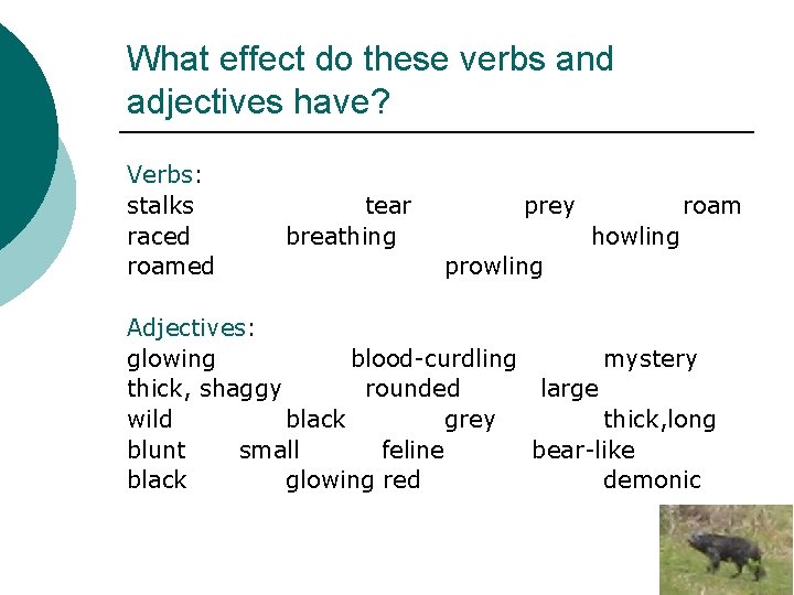 What effect do these verbs and adjectives have? Verbs: stalks raced roamed tear breathing