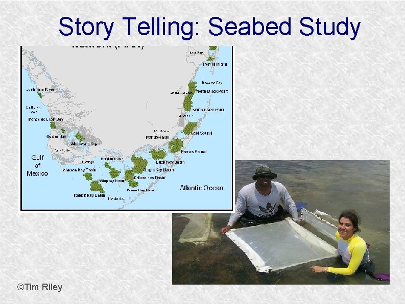 Story Telling: Seabed Study ©Tim Riley 