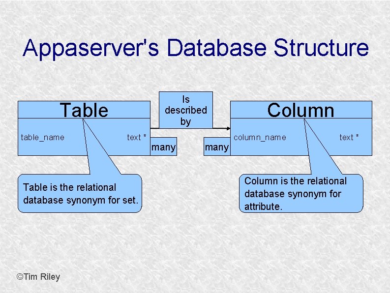 Appaserver's Database Structure Is described by Table table_name text * Table is the relational