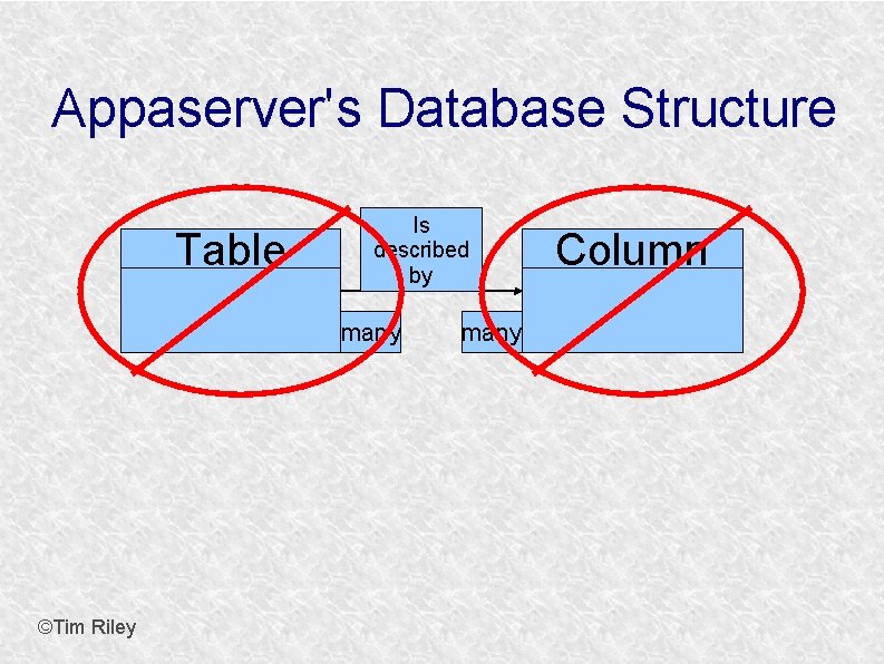 Appaserver's Database Structure Table Is described by many ©Tim Riley many Column 
