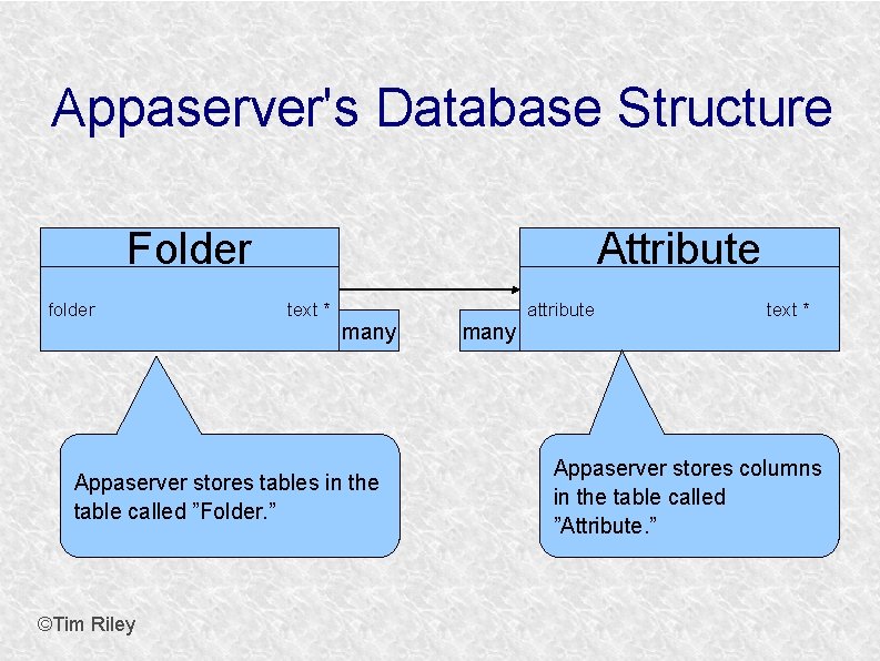 Appaserver's Database Structure Folder folder Attribute text * many Appaserver stores tables in the