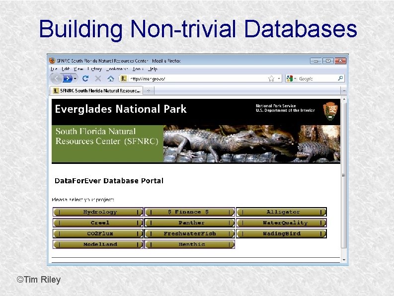 Building Non-trivial Databases ©Tim Riley 