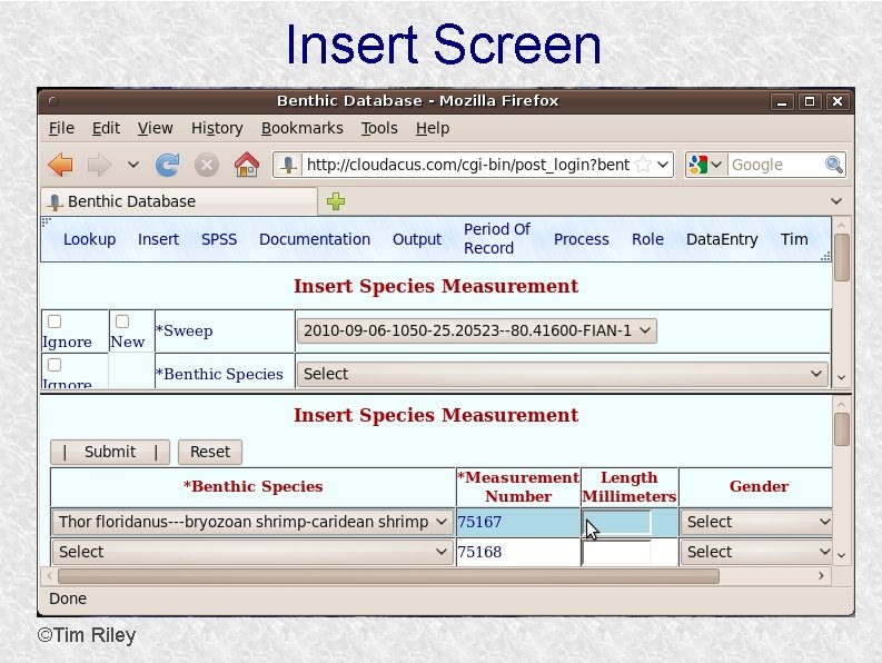 Insert Screen ©Tim Riley 