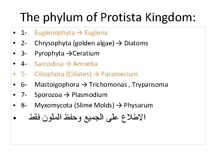 The phylum of Protista Kingdom: ● ● ● ● ● 12345678 - Euglenophyta →