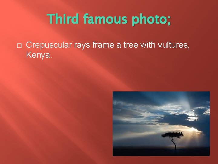 Third famous photo; � Crepuscular rays frame a tree with vultures, Kenya. 