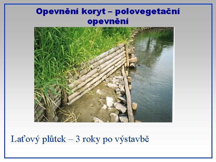 Opevnění koryt – polovegetační opevnění Laťový plůtek – 3 roky po výstavbě 