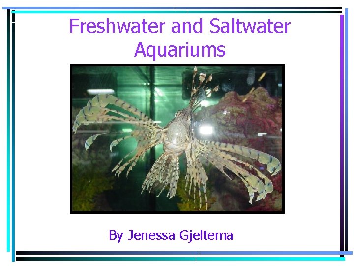 Freshwater and Saltwater Aquariums By Jenessa Gjeltema 