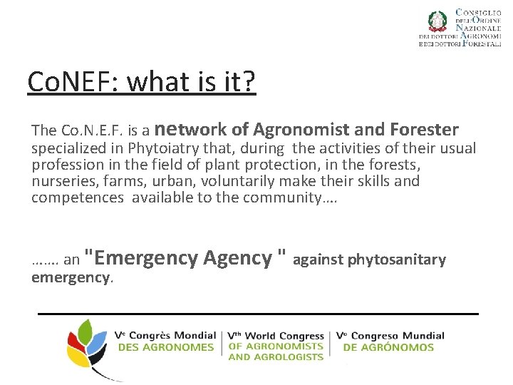 Co. NEF: what is it? The Co. N. E. F. is a network of