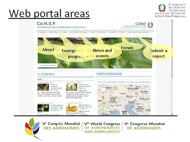 Web portal areas About us Emergencies Regional in News and events progress contacts Forum