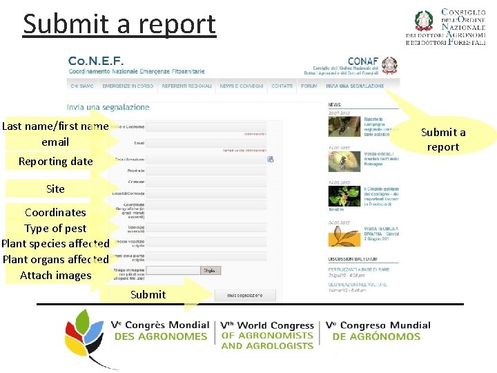 Submit a report Last name/first name email Submit a report Reporting date Site Coordinates
