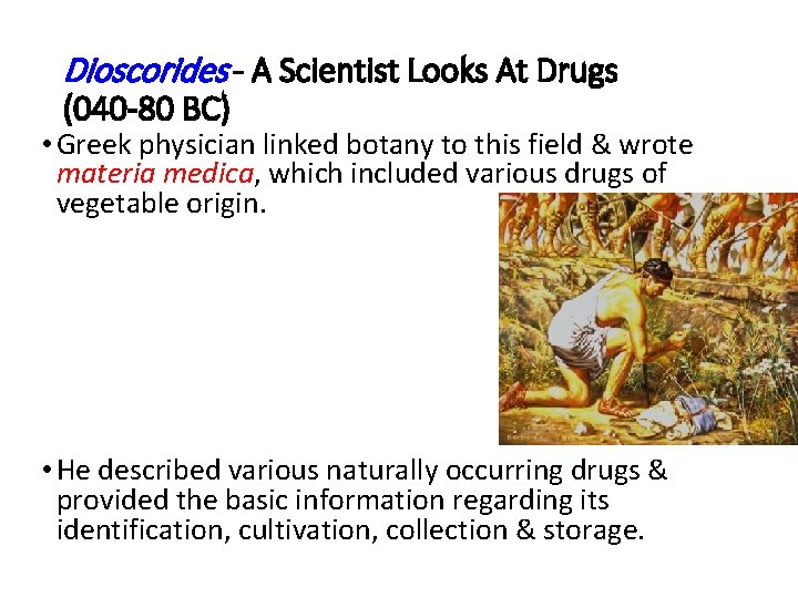 Dioscorides - A Scientist Looks At Drugs (040 -80 BC) • Greek physician linked