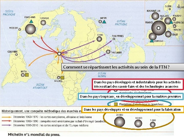 Comment se répartissent les activités au sein de la FTN ? Dans les pays