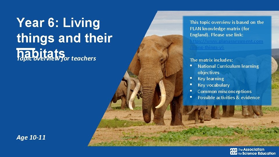 Year 6: Living things and their habitats Topic overview for teachers Age 10 -11
