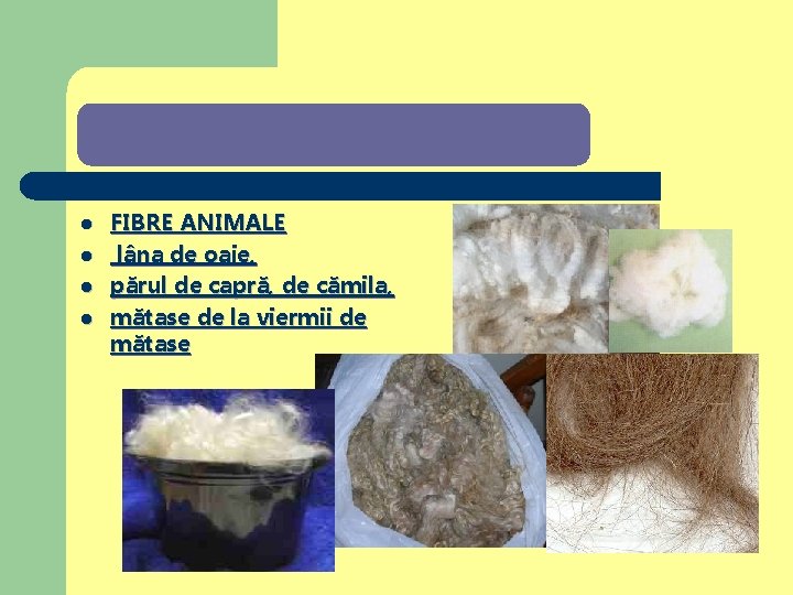 FIBRE TEXTILE ANIMALE l l FIBRE ANIMALE lâna de oaie, părul de capră, de