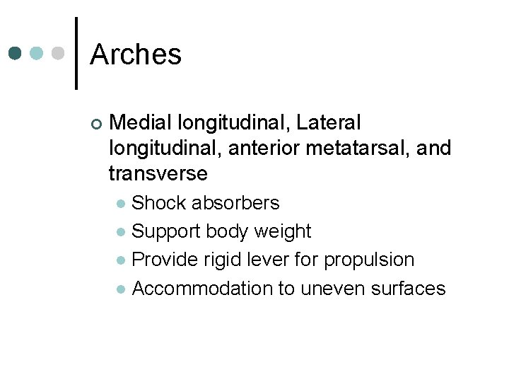 Arches ¢ Medial longitudinal, Lateral longitudinal, anterior metatarsal, and transverse Shock absorbers l Support
