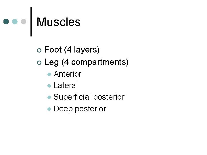 Muscles Foot (4 layers) ¢ Leg (4 compartments) ¢ Anterior l Lateral l Superficial