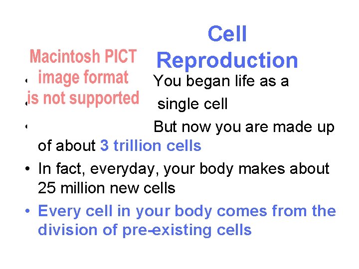  • • • Cell Reproduction You began life as a single cell But