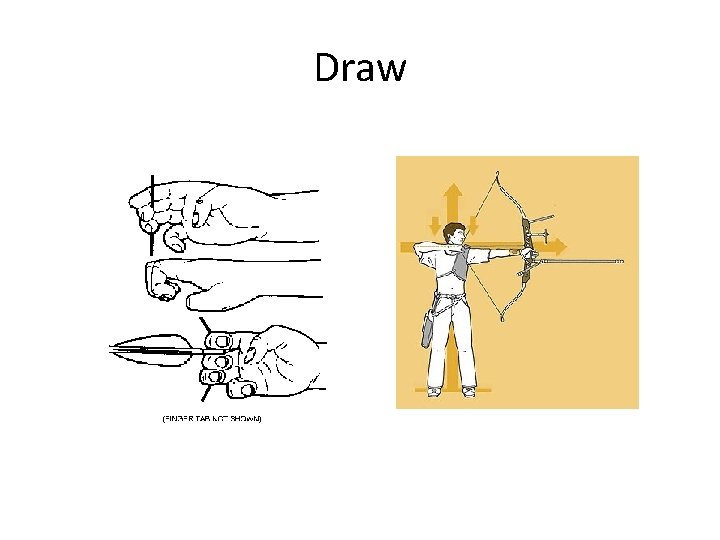 Draw 