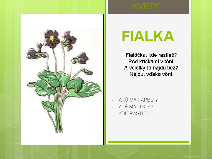 KVETY FIALKA Fialôčka, kde rastieš? Pod kríčkami v tôni. A včielky ťa nájdu tiež?