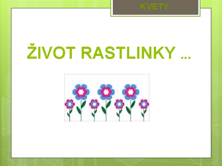 KVETY ŽIVOT RASTLINKY. . . 