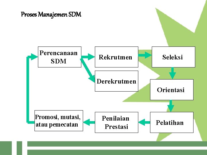 Proses Manajemen SDM Perencanaan SDM Rekrutmen Seleksi Derekrutmen Orientasi Promosi, mutasi, atau pemecatan Penilaian