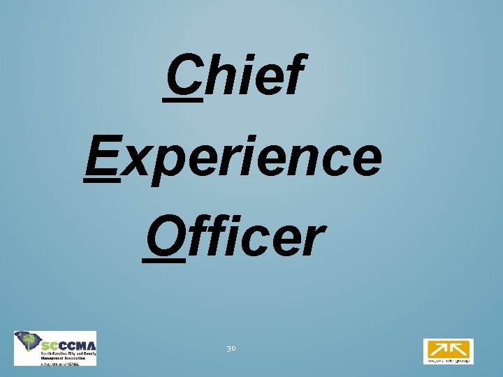 Chief Experience Officer 30 Chief Experience Officer 30