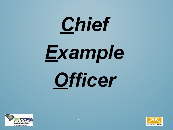 Chief Example Officer 31 