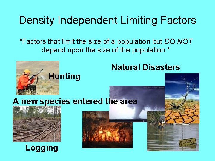 Density Independent Limiting Factors *Factors that limit the size of a population but DO
