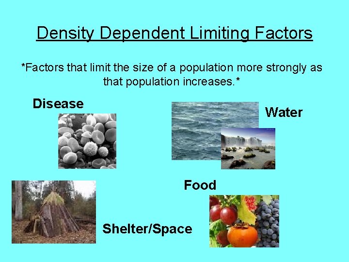 Density Dependent Limiting Factors *Factors that limit the size of a population more strongly