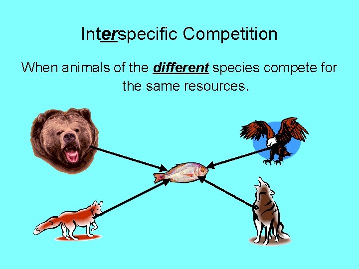 Interspecific Competition When animals of the different species compete for the same resources. 