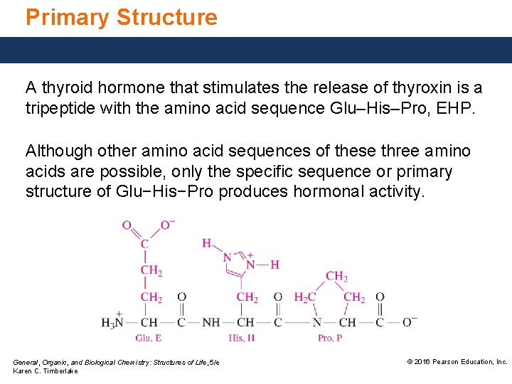 Primary Structure A thyroid hormone that stimulates the release of thyroxin is a tripeptide
