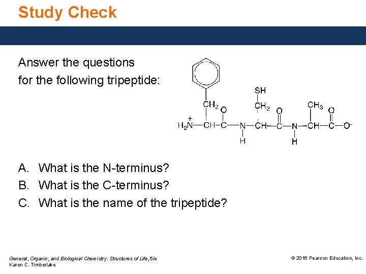 Study Check Answer the questions for the following tripeptide: A. What is the N-terminus?