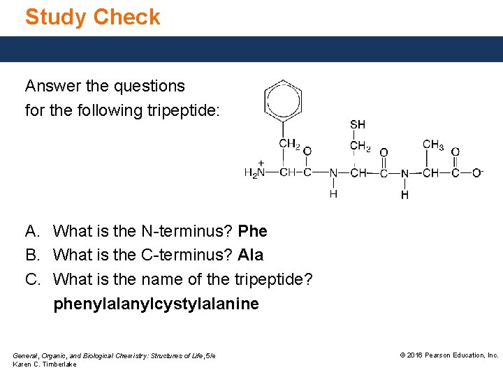Study Check Answer the questions for the following tripeptide: A. What is the N-terminus?