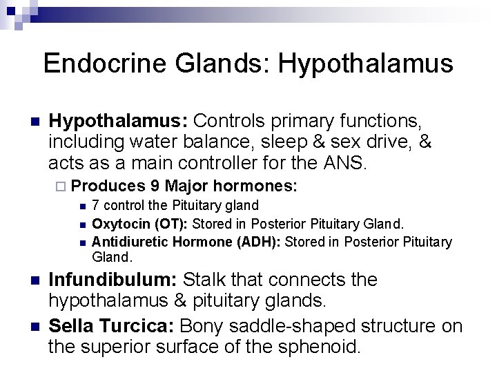 Endocrine Glands: Hypothalamus n Hypothalamus: Controls primary functions, including water balance, sleep & sex Endocrine Glands: Hypothalamus n Hypothalamus: Controls primary functions, including water balance, sleep & sex