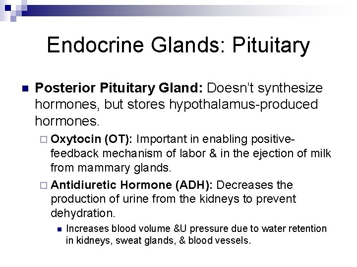 Endocrine Glands: Pituitary n Posterior Pituitary Gland: Doesn’t synthesize hormones, but stores hypothalamus-produced hormones. Endocrine Glands: Pituitary n Posterior Pituitary Gland: Doesn’t synthesize hormones, but stores hypothalamus-produced hormones.