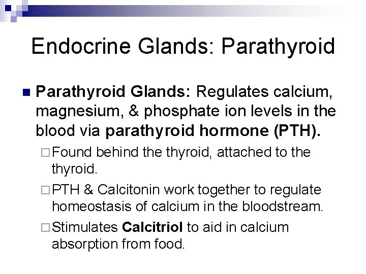 Endocrine Glands: Parathyroid n Parathyroid Glands: Regulates calcium, magnesium, & phosphate ion levels in Endocrine Glands: Parathyroid n Parathyroid Glands: Regulates calcium, magnesium, & phosphate ion levels in