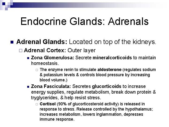 Endocrine Glands: Adrenals n Adrenal Glands: Located on top of the kidneys. ¨ Adrenal Endocrine Glands: Adrenals n Adrenal Glands: Located on top of the kidneys. ¨ Adrenal