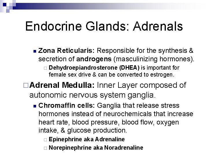 Endocrine Glands: Adrenals n Zona Reticularis: Responsible for the synthesis & secretion of androgens Endocrine Glands: Adrenals n Zona Reticularis: Responsible for the synthesis & secretion of androgens