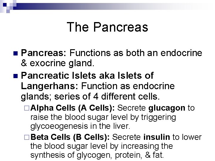 The Pancreas: Functions as both an endocrine & exocrine gland. n Pancreatic Islets aka The Pancreas: Functions as both an endocrine & exocrine gland. n Pancreatic Islets aka