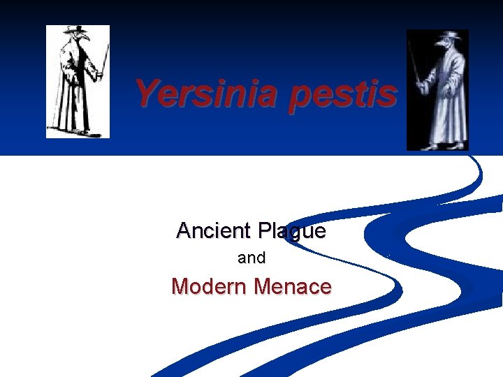 Yersinia pestis Ancient Plague and Modern Menace 