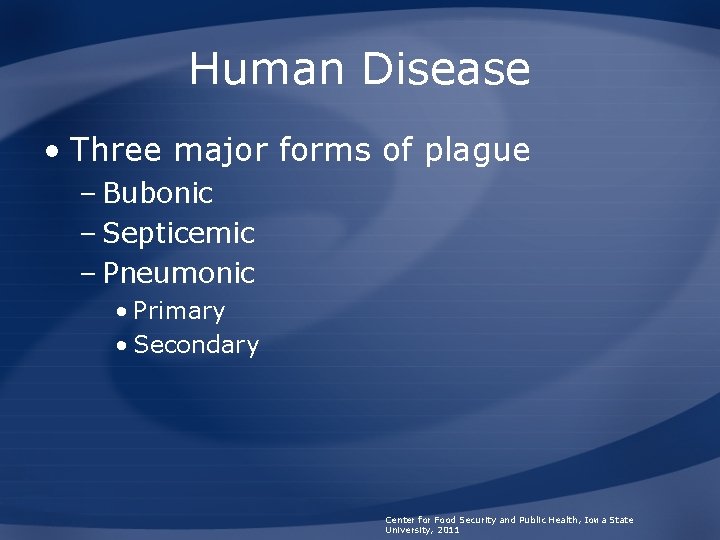 Human Disease • Three major forms of plague – Bubonic – Septicemic – Pneumonic