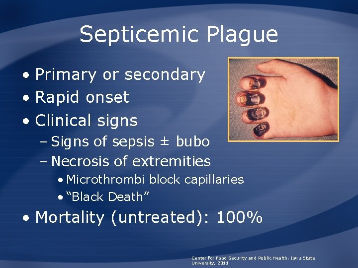 Septicemic Plague • Primary or secondary • Rapid onset • Clinical signs – Signs