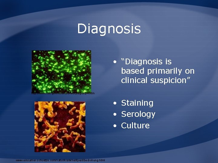 Diagnosis • “Diagnosis is based primarily on clinical suspicion” http: //www. cdc. gov/ncidod/dvbid/plague/p 4.