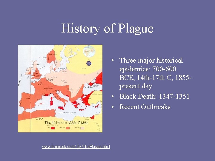 History of Plague • Three major historical epidemics: 700 -600 BCE, 14 th-17 th