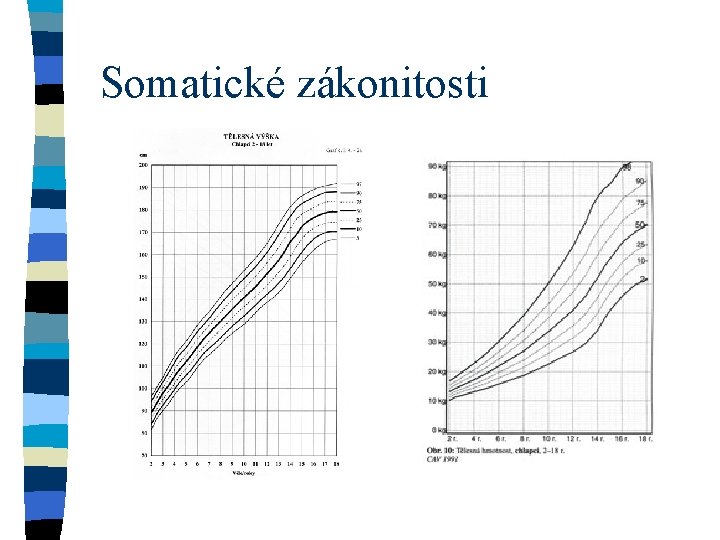 Somatické zákonitosti 