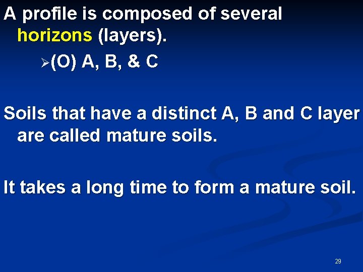 A profile is composed of several horizons (layers). Ø(O) A, B, & C Soils A profile is composed of several horizons (layers). Ø(O) A, B, & C Soils