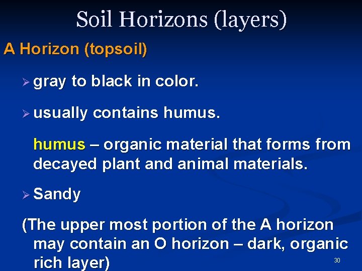 Soil Horizons (layers) A Horizon (topsoil) Ø gray to black in color. Ø usually Soil Horizons (layers) A Horizon (topsoil) Ø gray to black in color. Ø usually