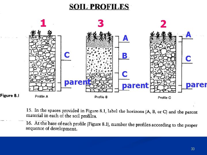 1 3 2 A A C B C parent paren 33 1 3 2 A A C B C parent paren 33